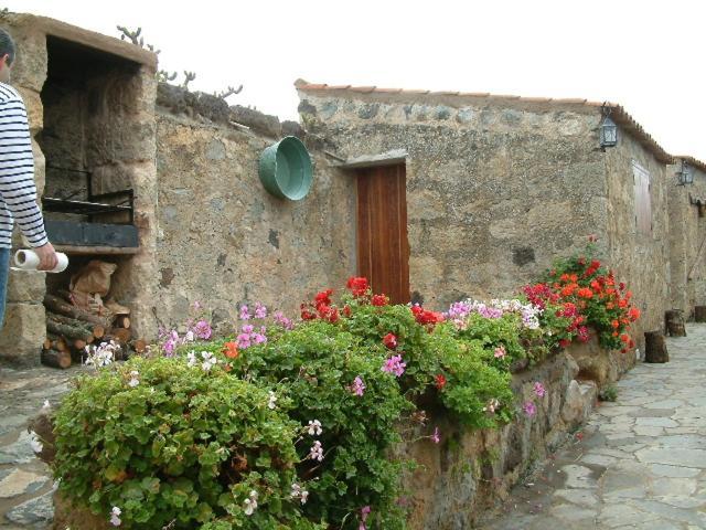 Casa Rural El Drago Guest House Moya  Exterior photo